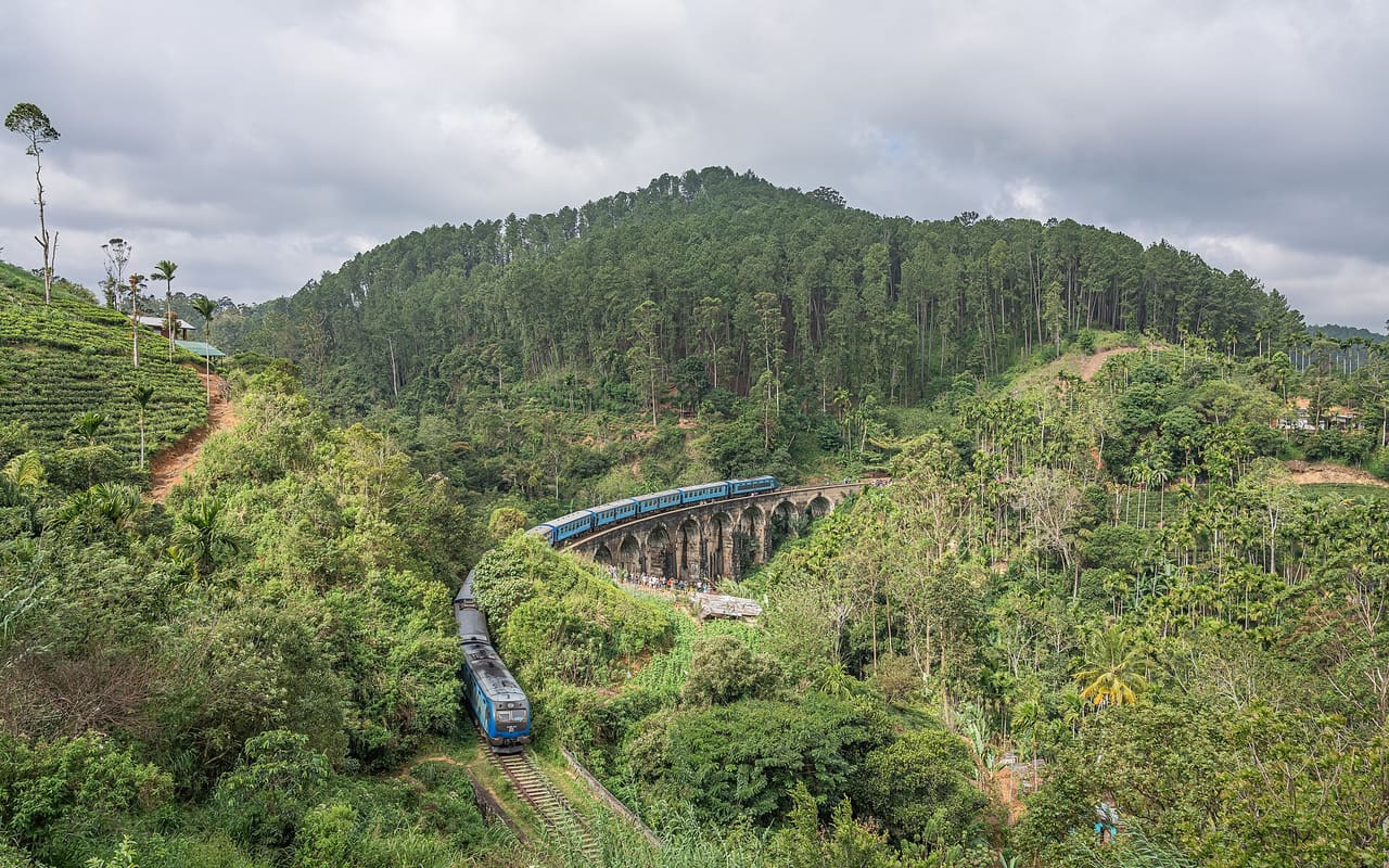 Custom Sri Lanka tour - private driver and tour operator